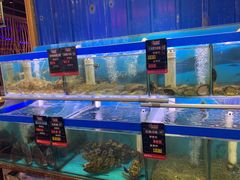 水产区-船梆煮•蒸汽海鲜·炉火烤肉(五四广场店)