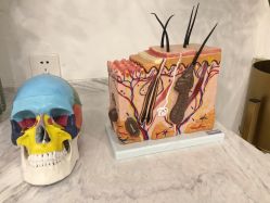 点击看大图 -初颜品佑肌肤管理