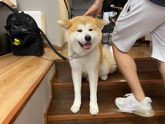 -YCHL Studios健身工作室(市二宫店)