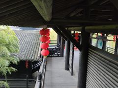 -大唐贡茶院