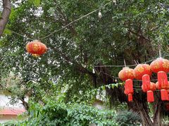 -汤锅大王(新平曹苏黄牛汤锅有限公司)