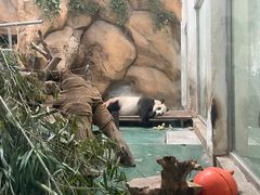 -成都动物园