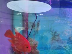 -雅悦齿科(顾村公园店)