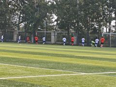 -山东鲁能乒乓球学校