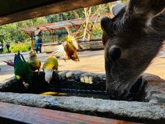 -普洱太阳河森林公园