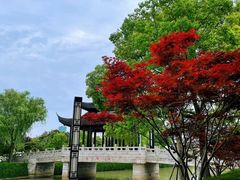 -苏州古运河游船(新市桥码头)