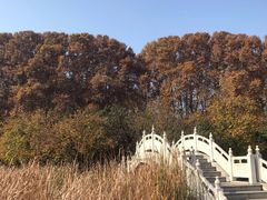 -河南省黄河迎宾馆