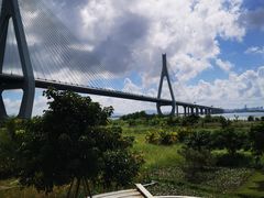 -芒洲湿地公园