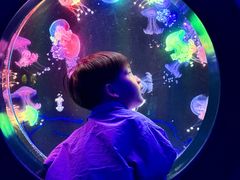 -海合安成都极地海洋公园