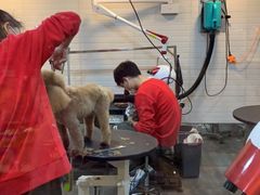 -PETKIT小佩宠物(古北店)