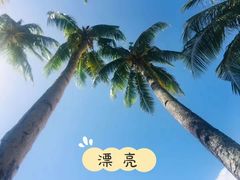 -芽庄大教堂