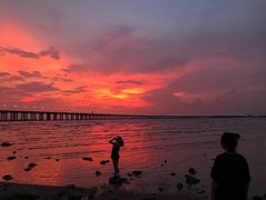 -宝安西湾红树林湿地公园