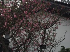-上海植物园-4号门售票处