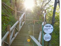 -大岭沟猕猴桃谷风景区