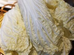 娃娃菜-老诚一锅(乔庄店)