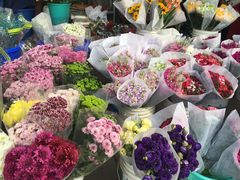 -秦美花卉(天朗·莱茵小城2期店)