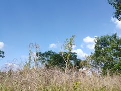 -梁鸿国家湿地公园