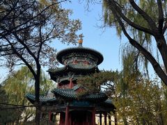 -迎泽公园