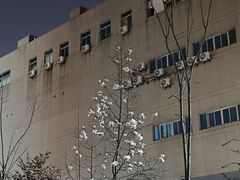 -王家山炸鸡店(印象汇店)