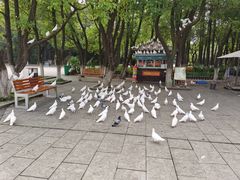 -南昌动物园