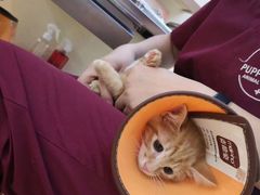 -芭比堂动物医院·犬猫全科·异宠专科(雁塔分院)