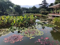 -国家植物园南园