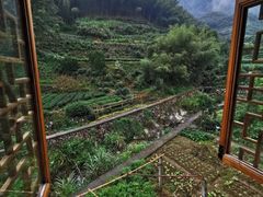 -杨家堂村