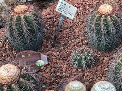 -南通洲际绿博园