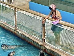 -秦皇岛乐岛海洋王国