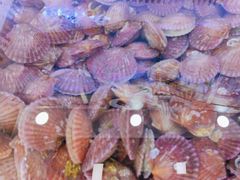 -日照大牌檔•小船海鲜(万平口店)