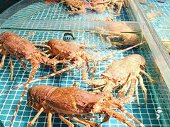 -驻海渔市(置信店)