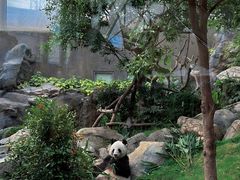-香港海洋公园