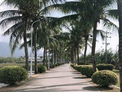 -亚龙湾国际玫瑰谷