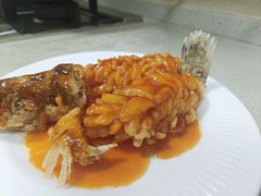 -田螺阿姨自营月嫂·育儿嫂(高新店)