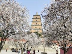 -大雁塔北广场音乐喷泉