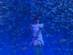 -合肥海洋世界
