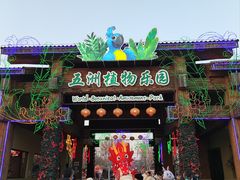 -南宫五洲植物乐园