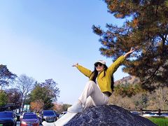 -秦岭终南山世界地质公园翠华山景区