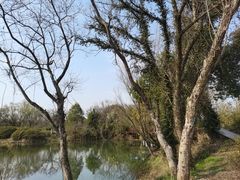 -西溪国家湿地公园