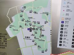 -桤木河湿地公园