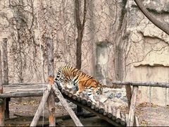 -北京动物园