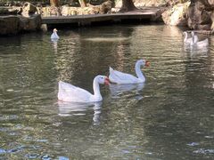 -兰亭风景区