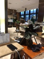 -罗亚帝造型