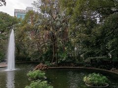 -九龙公园