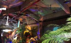 -恐龙探索乐园(磁器口店)