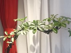 -喜湘宴·精致湖南菜(和平西桥店)