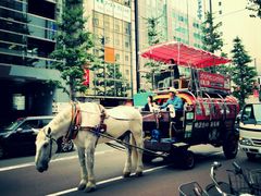 札幌名物『幌馬車』-北海道厅旧本厅舍(旧本庁舎)