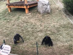 -石家庄市动物园