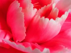 -AEON永旺(东方宝泰店)