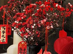 -月下料理(楷林IFC店)